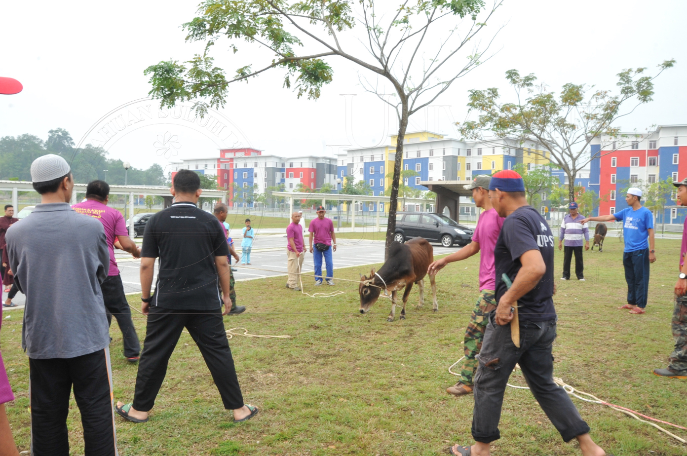 PRO15 150 KORBAN HAS 6728